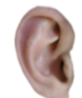 04018ef3-854d-82x98.png