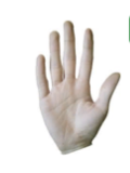 04018efb-d390-120x160.png