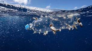Reading "The Great Pacific Garbage Patch!"