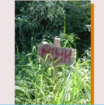 04018g9l-c78e-178x180.png