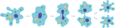 04018i33-1e3b-469x115.png