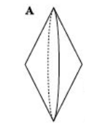 04018ukh-278e-123x177.png