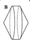 04018ul4-bfe6-103x145.png