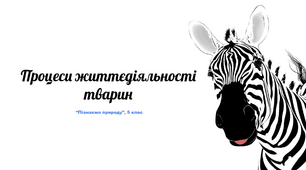 Презентація "Процеси життєдіяльності тварин"