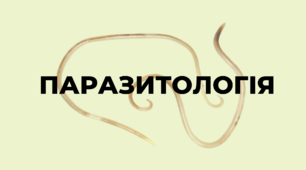 Презентація на тему "Паразитологія".