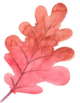 04018xbi-91cd-278x359.png