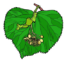 04018xbq-9e8f-390x387.png