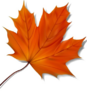 04018xbx-f1ff-353x383.png