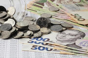 Освітню субвенцію зменшили на 20%