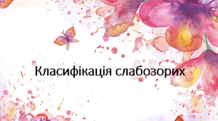 Добірка вправ (логопедичних методик, технік, ігор) для дітей з порушення зору.