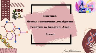 Генетика. Методи генетичних досліджень. Генотип та фенотип. Алелі. 9 клас