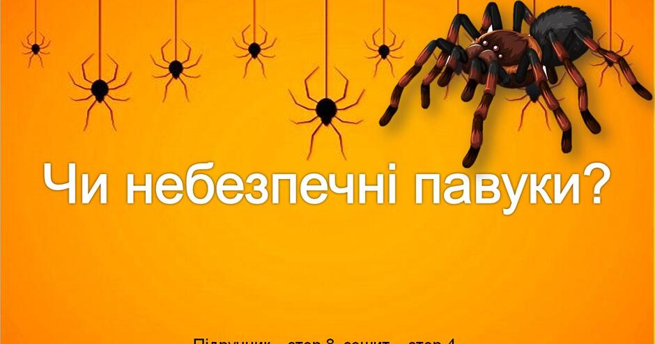 Презентація до уроку Я досліджую світ - Чи небезпечні павуки? (3 клас) |  Презентація. НУШ
