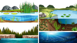 Мозаїка завдань до теми "Водні екосистеми"