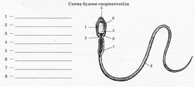 040196c1-666e-643x286.png