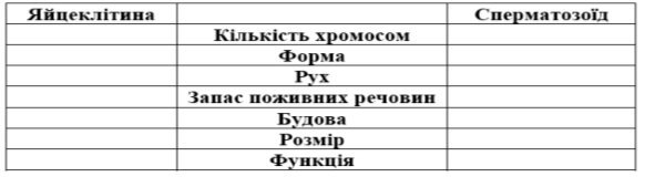 040196eh-f071-591x160.png