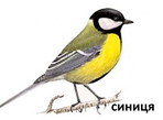 04019dbk-25fe-148x109.png