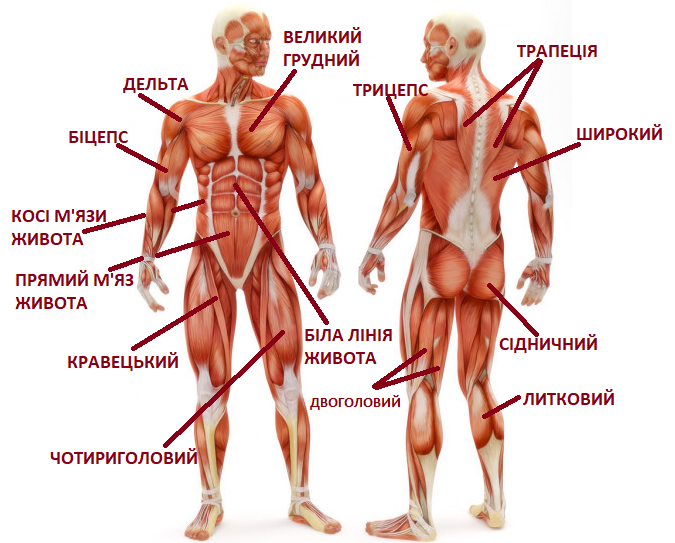 04019i8q-360a-675x543.png