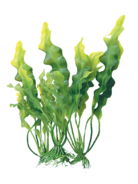 04019jk6-337c-138x184.png