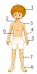 04019m2o-d4a7-129x258.png