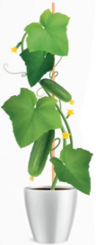 04019owt-cf93-107x273.png