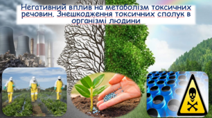 Презентація на тему:"НЕГАТИВНИЙ ВПЛИВ НА МЕТАБОЛІЗМ ТОКСИЧНИХ РЕЧОВИН. ЗНЕШКОДЖЕННЯ ТОКСИЧНИХ СПОЛУК В ОРГАНІЗМІ ЛЮДИНИ"