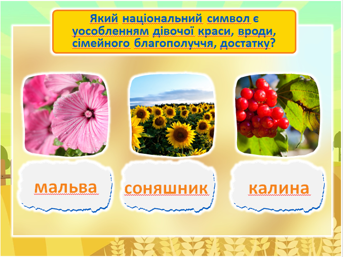 04019q2c-2a6a-677x508.png