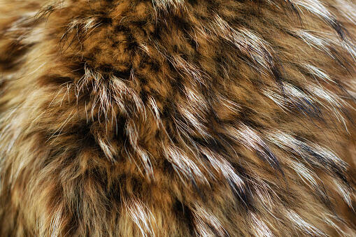 04019q6d-3079-509x339.jpg