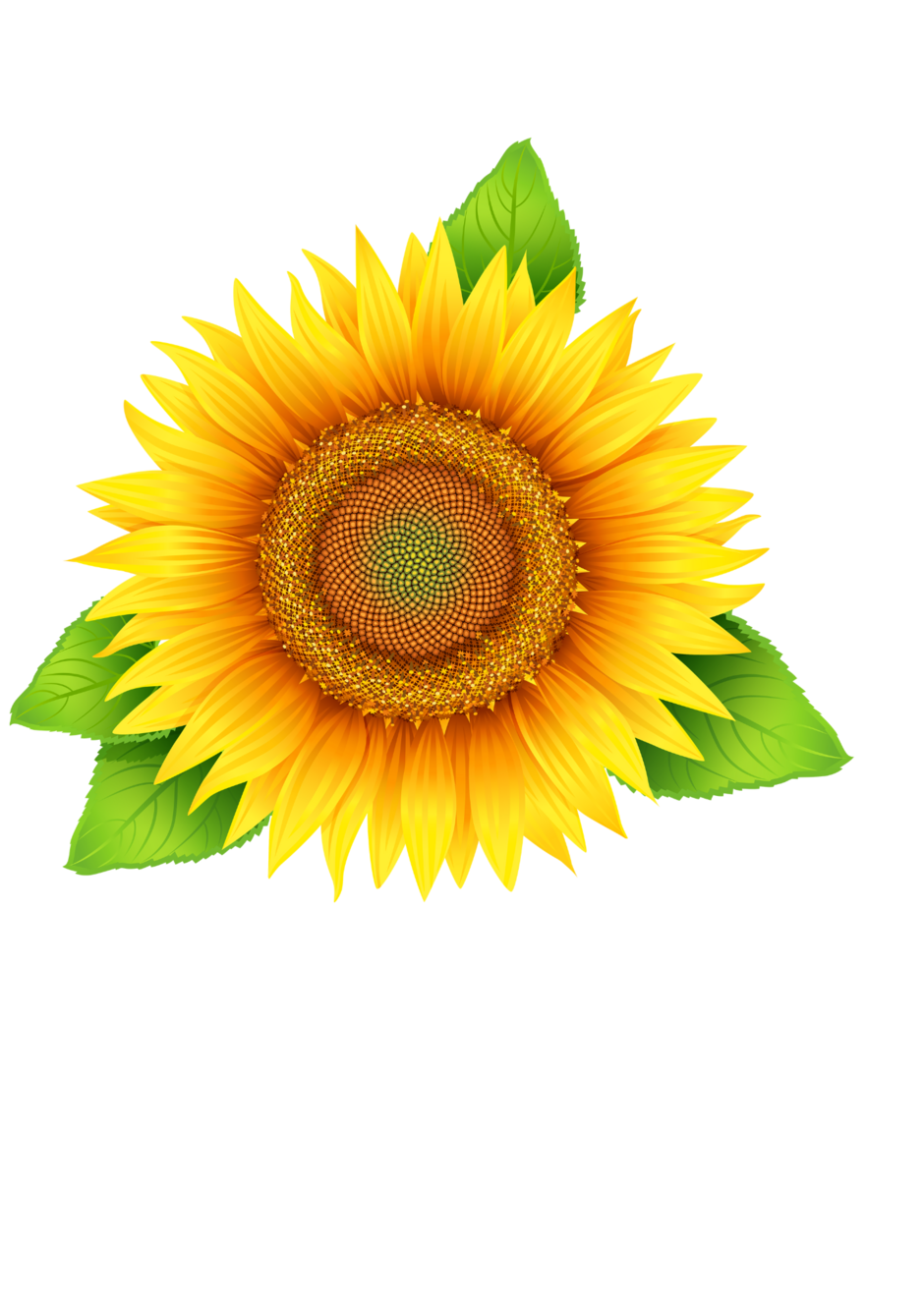 04019qqx-ee52-940x1330.png