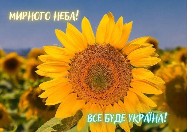 Побажання гарного дня в картинках, своїми словами, у віршах, в смс та християнські побажання доброго дня — Укрaїнa — tsn.ua