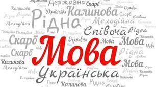 Іменник.Прикметник