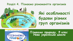 Які особливості будови різних груп організмів, 5 клас, НУШ