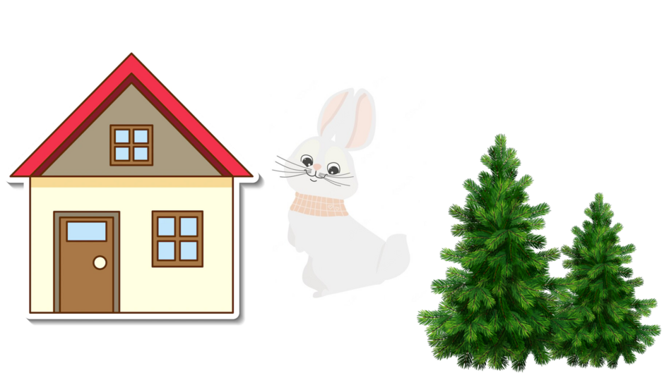 04019up3-30d4-940x529.png