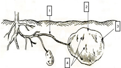 04019vb9-0558-390x220.png