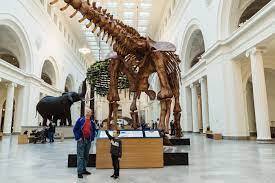 Free Admission Day | Field Museum