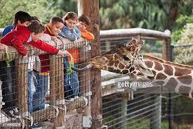 250,165 Zoo Photos and Premium High Res Pictures - Getty Images