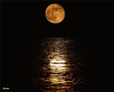04019w4y-dc37-236x190.gif