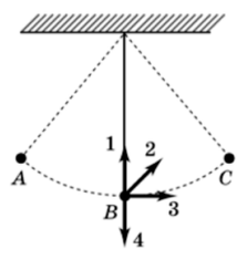 04019wr2-af20-223x235.png