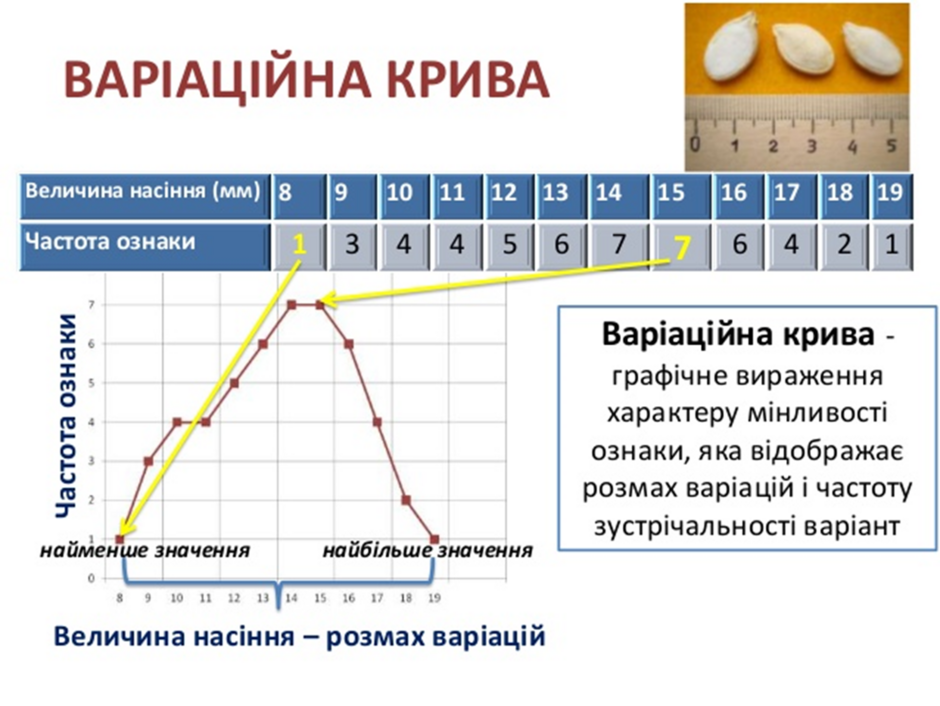 04019y3m-1e87-940x706.png
