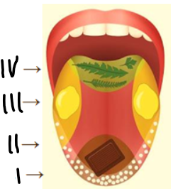 04019zla-3461-268x266.png