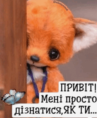 0401a1s2-4ee9-316x383.png