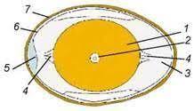 0401a25w-013b-547x314.jpg