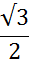 0401a381-c4c6-29x64.png