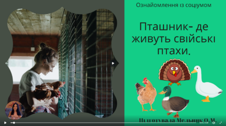 0401a3mw-9359-449x252.png