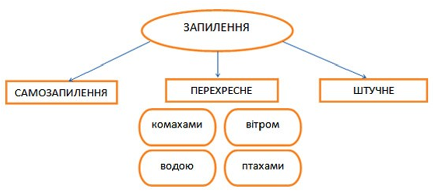 0401a5ho-0487-863x387.png