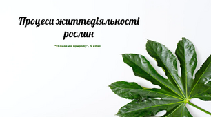 Презентація "Процеси життєдіяльності рослин"