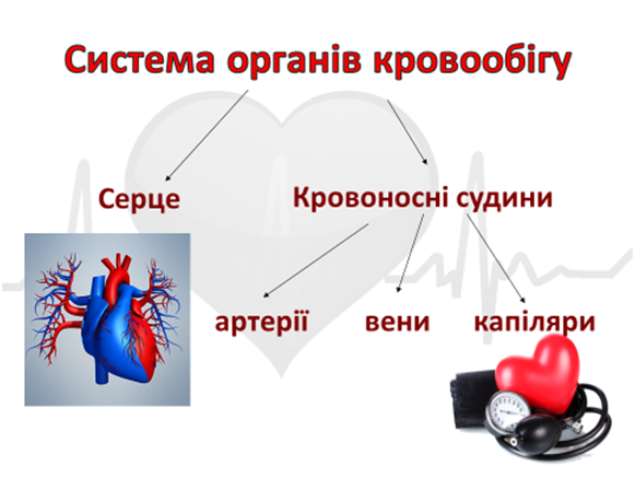 0401a69m-35e7-581x436.png