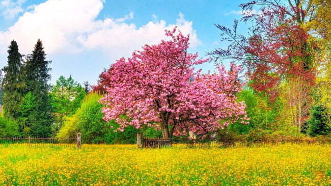 0401ab9a-fb6a-650x365.jpg