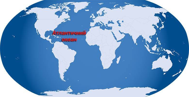 0401ad56-0056-780x400.jpg