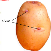 0401ad7f-0162-175x174.png