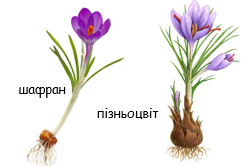 0401ad7s-48da-243x166.png